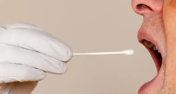 Inaugurato il laboratorio dei test salivari al Cibio: niente più tamponi nel naso, 3 mila esami al giorno