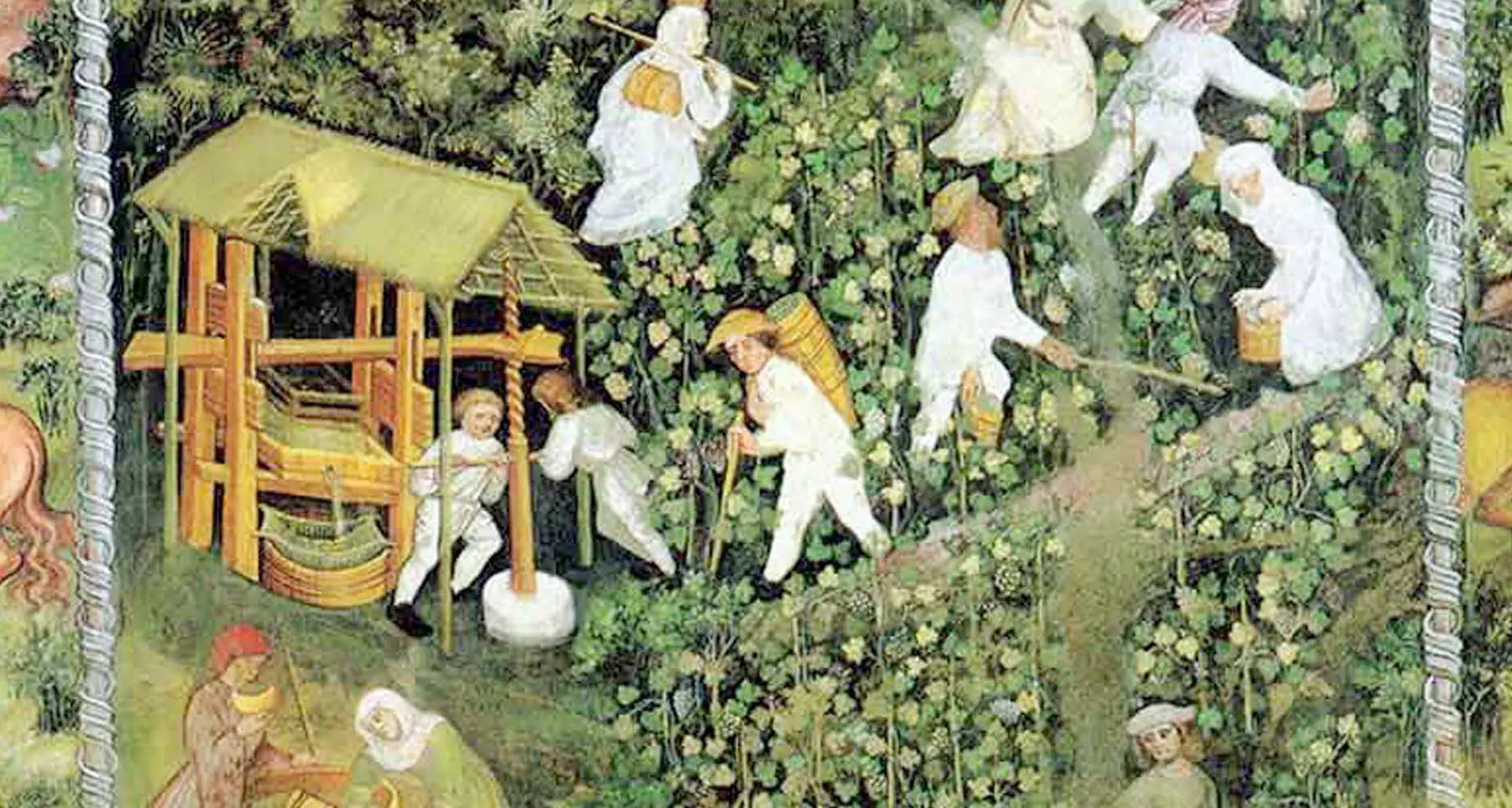 Storia della vite e del vino in Trentino dai Romani ai nostri giorni: il libro di Giordani