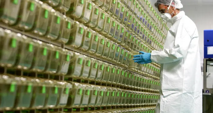 Vaccini Pfizer, Trentino penalizzato: \"Ricevuto solo il 40% delle dosi previste\". Ma le vaccinazioni continuano con le scorte