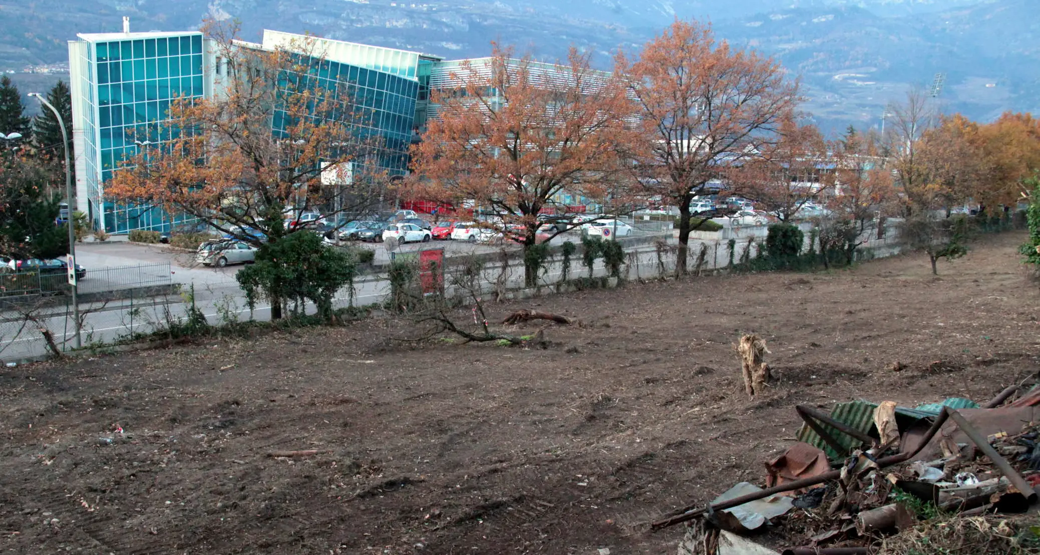 Rovereto punta sulla seta: in città un'area a gelsi e coltivazione dei bachi