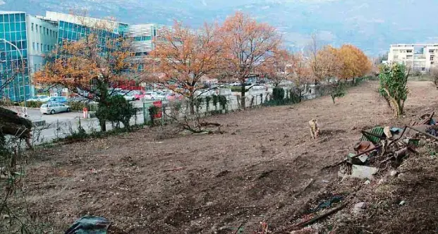A Rovereto il primo orto urbano per produrre la seta