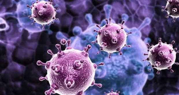 L'epatite C in Italia più diffusa di quanto si creda: almeno il doppio di positivi