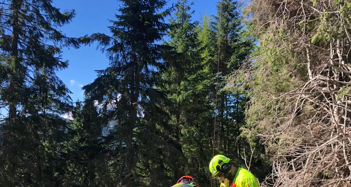 Fungaiolo ferito a Passo Coe cade e ruzzola su un pendio: prelevato dal Soccorso Alpino