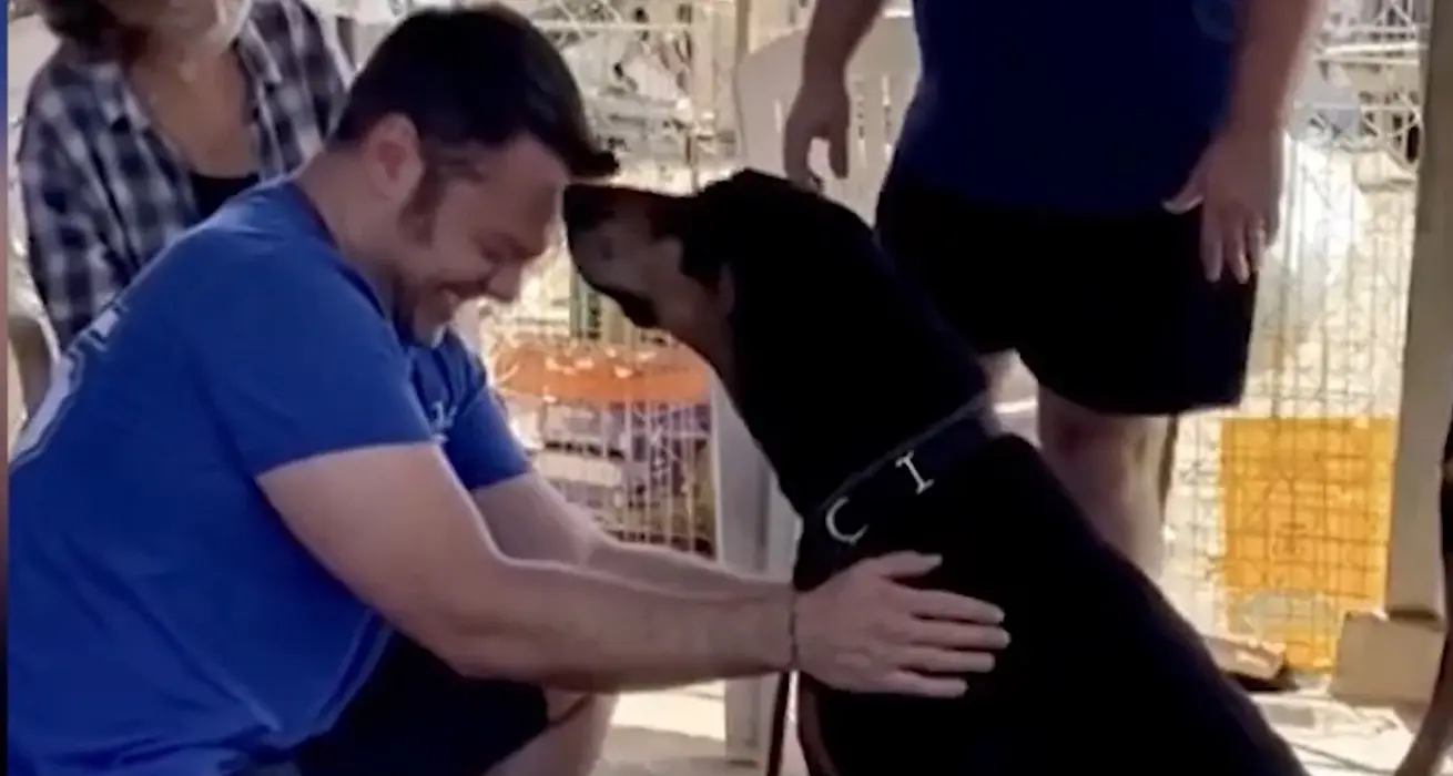 Dopo il dolore per Beau, Tiziano Ferro adotta un altro cane: il video dell’incontro è commovente