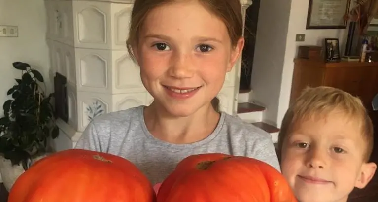 Due pomodori da record ecco il trofeo dell'orto di Franzelli alle Novaline