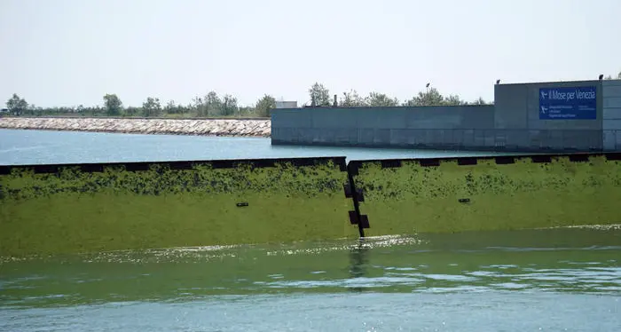 Venezia, per la prima volta il Mose si alza e protegge dall'acqua alta