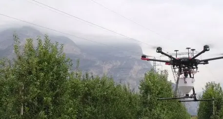 I droni rilasciano nei campi gli insetti per combattere i parassiti