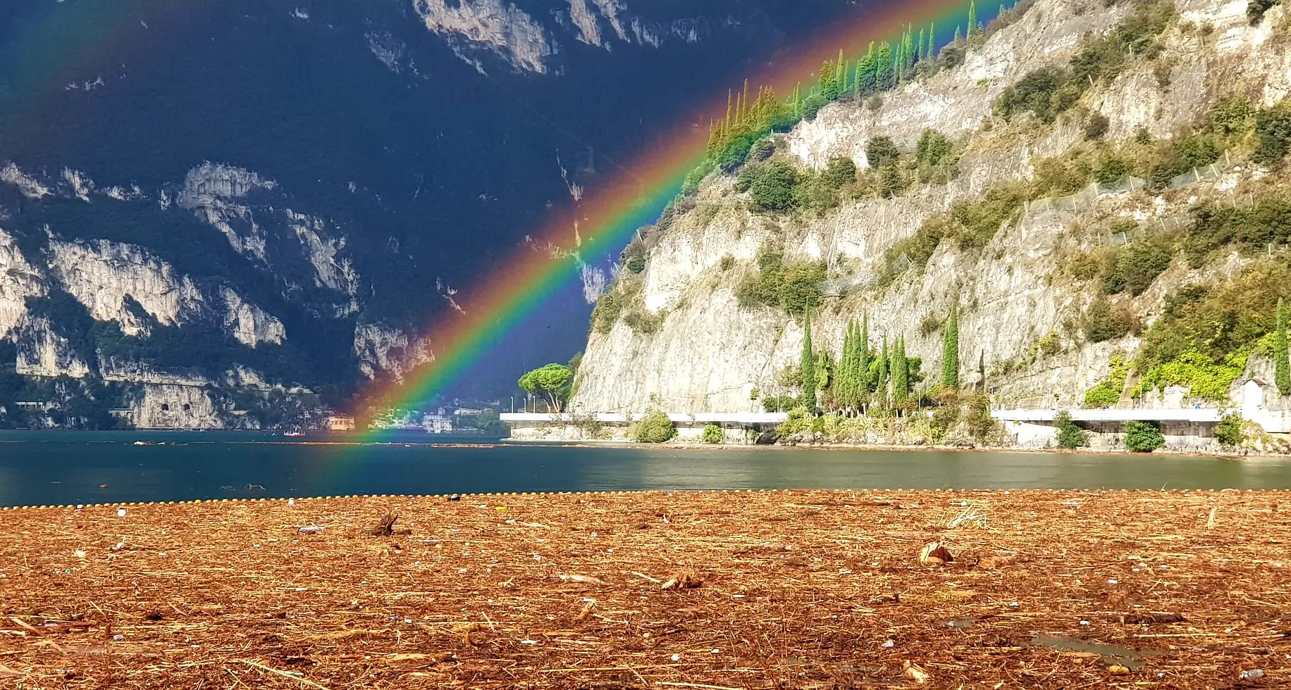 Nel Garda 800 tonnellate di legname e detriti: le reti dei pompieri salvano il lago