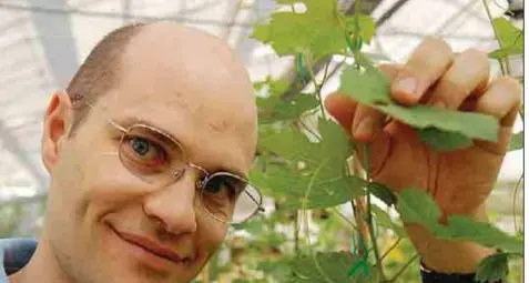 «Così alla Fem usiamo su melo e vite le forbici per il Dna sviluppate dalle due studiose premio Nobel»
