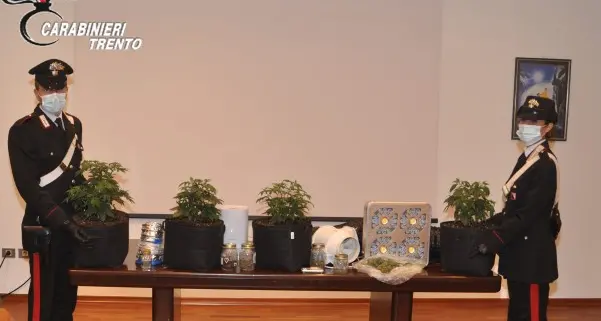 Carabinieri a caccia di mafiosi trovano un deposito di droga: arrestato un uomo a Civezzano
