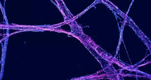 Camminare nelle cellule: ecco la realtà virtuale su scala nanometrica