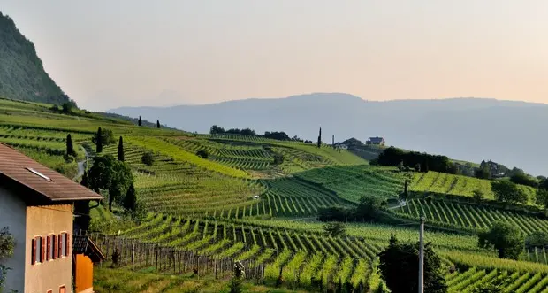 Covid taglia 600 milioni di euro Crollata la clientela straniera