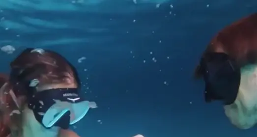 La proposta di matrimonio e l'anello arrivano... sott'acqua - Video
