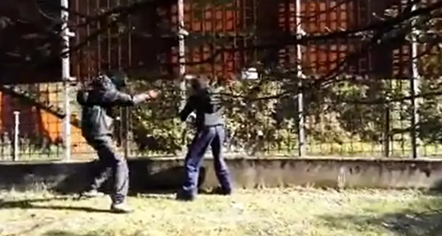 Contro le reti degli orsi con cesoie e mola a disco Il video del blitz animalista al Casteller