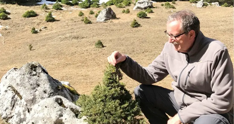 «Autobiografia della neve» sabato ad Arte Sella il libro di Daniele Zovi