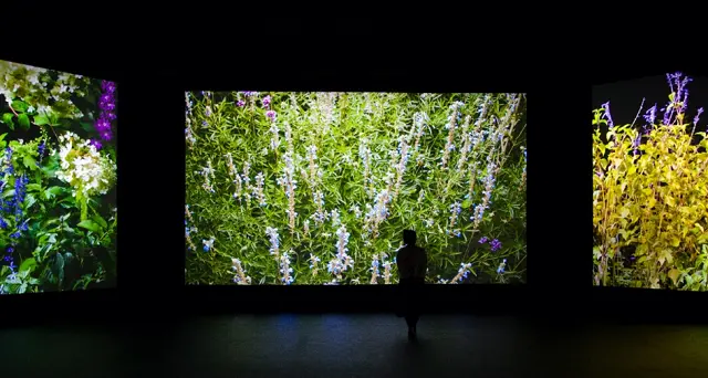Arte Sella, nuova opera: installazione audio e video di Quayola a Malga Costa