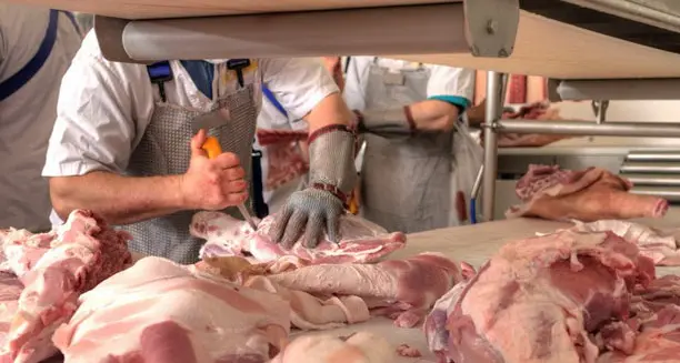 Nuovo focolaio, decine di casi: sono lavoratori del settore carni nessuno presenta sintomi