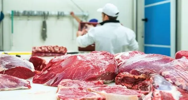 Covid: Rotaliana, abbiamo un problema con 33 contagi alla Hauser Carni l'indice nei Comuni schizza in alto
