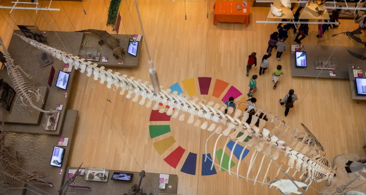 Al Muse di Trento da oggi festival della sostenibilità fra scienza e ambiente