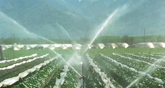 Il valore dell'acqua usata per irrigazione su scala mondiale
