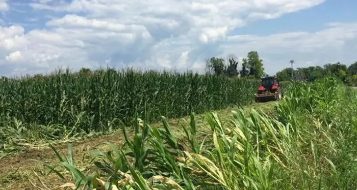 Dal Bim del Chiese contributi per alcune attività economiche
