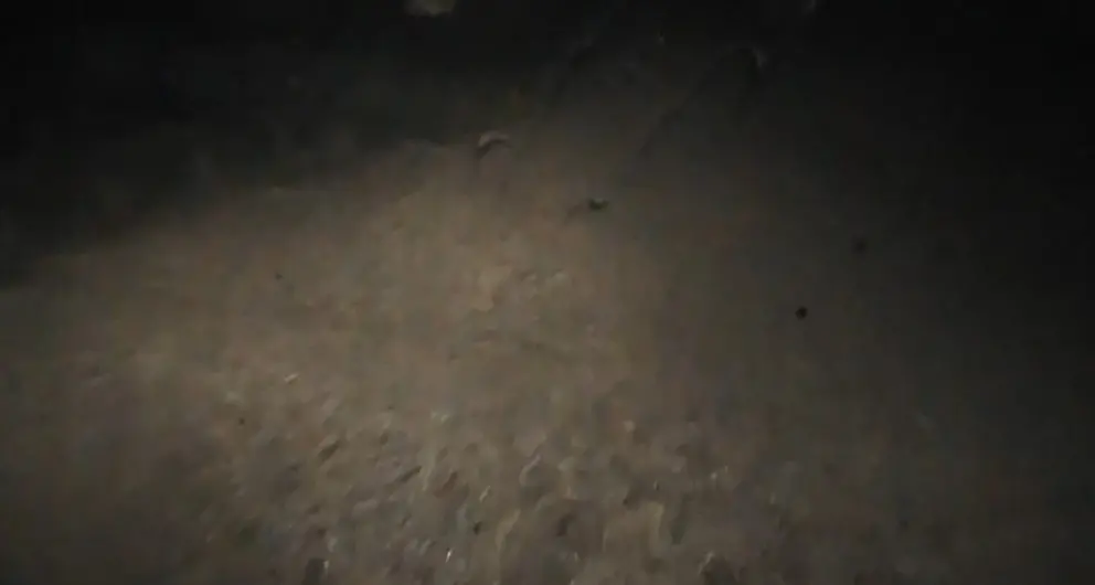 Violenta grandinata in val di Sole Strade ricoperte di chicchi di ghiaccio