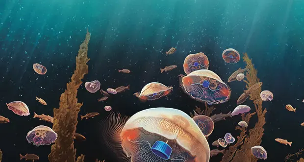 Vespe, meduse e tracine: cosa fare con le punture dell'estate