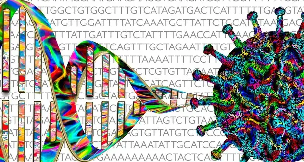 I 5 tipi di coronavirus in Italia tante varianti che portano al Covid-19