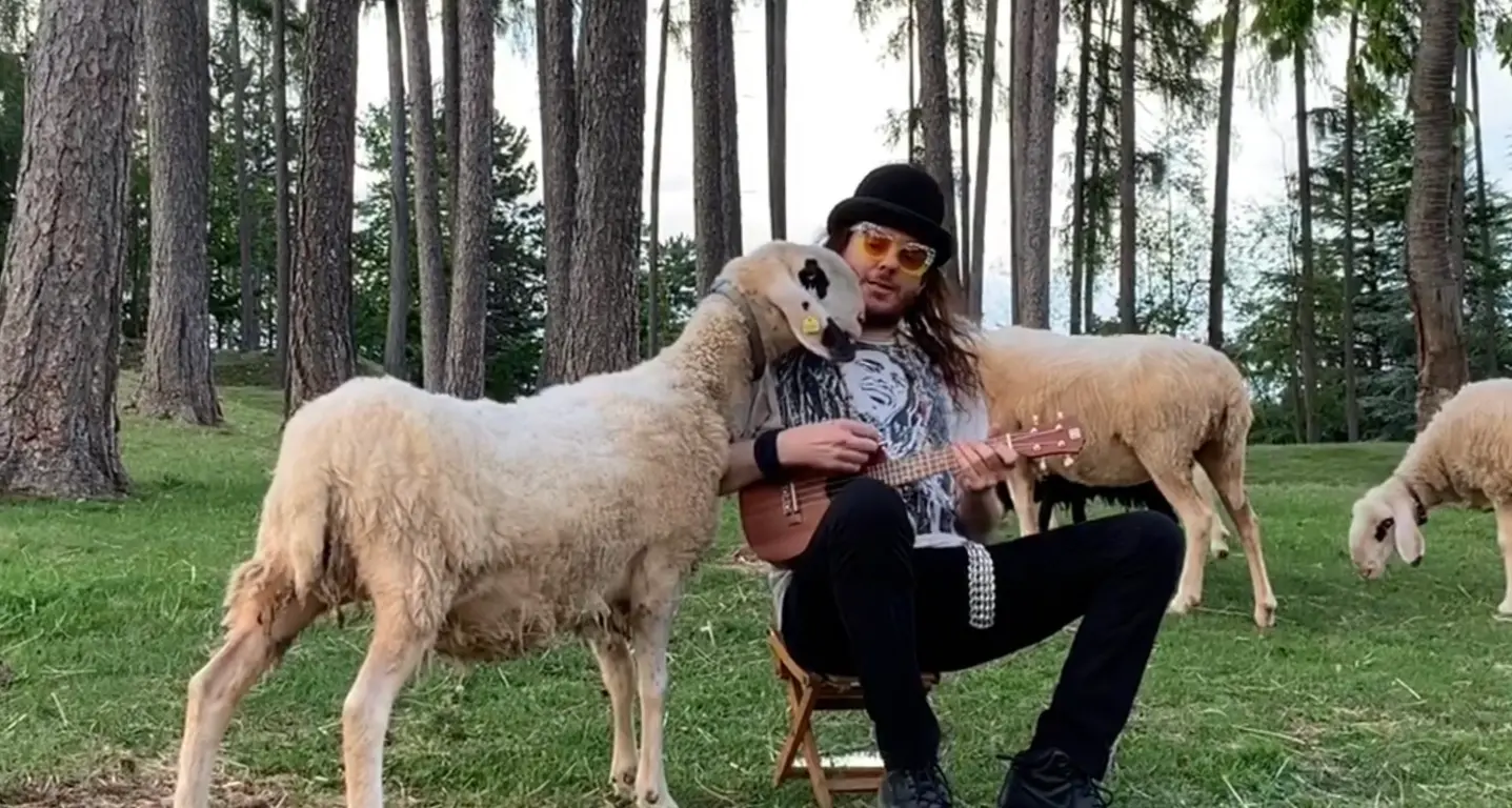 Alvegan: il pop vegano di \"Amore ipocrita\" con un videoclip animal style girato in una malga
