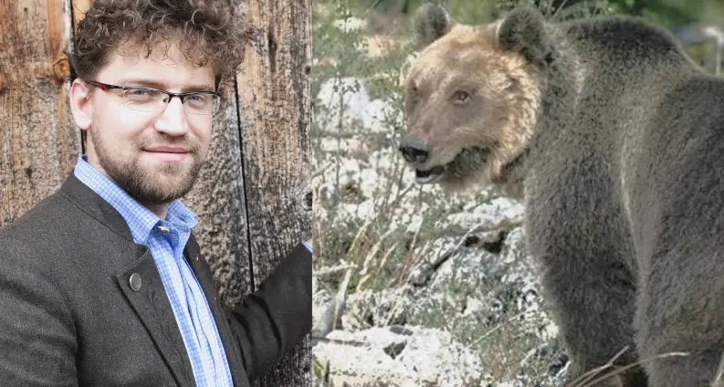 L'orso M49 in Alta Val dei Mocheni Il sindaco Moltrer: «Benvenuto, ma va abbattuto», e fioccano i like