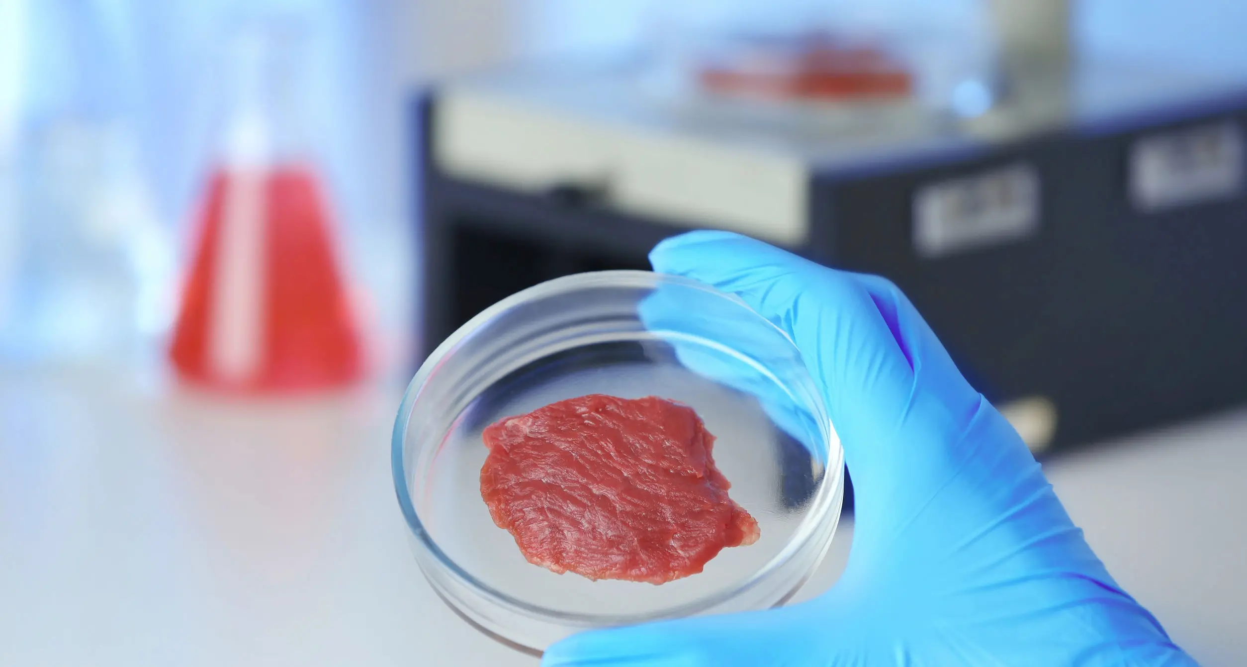 Il filetto di manzo nasce in laboratorio Al Cibio di Povo decolla «Bruno Cell» per la produzione di carne coltivata
