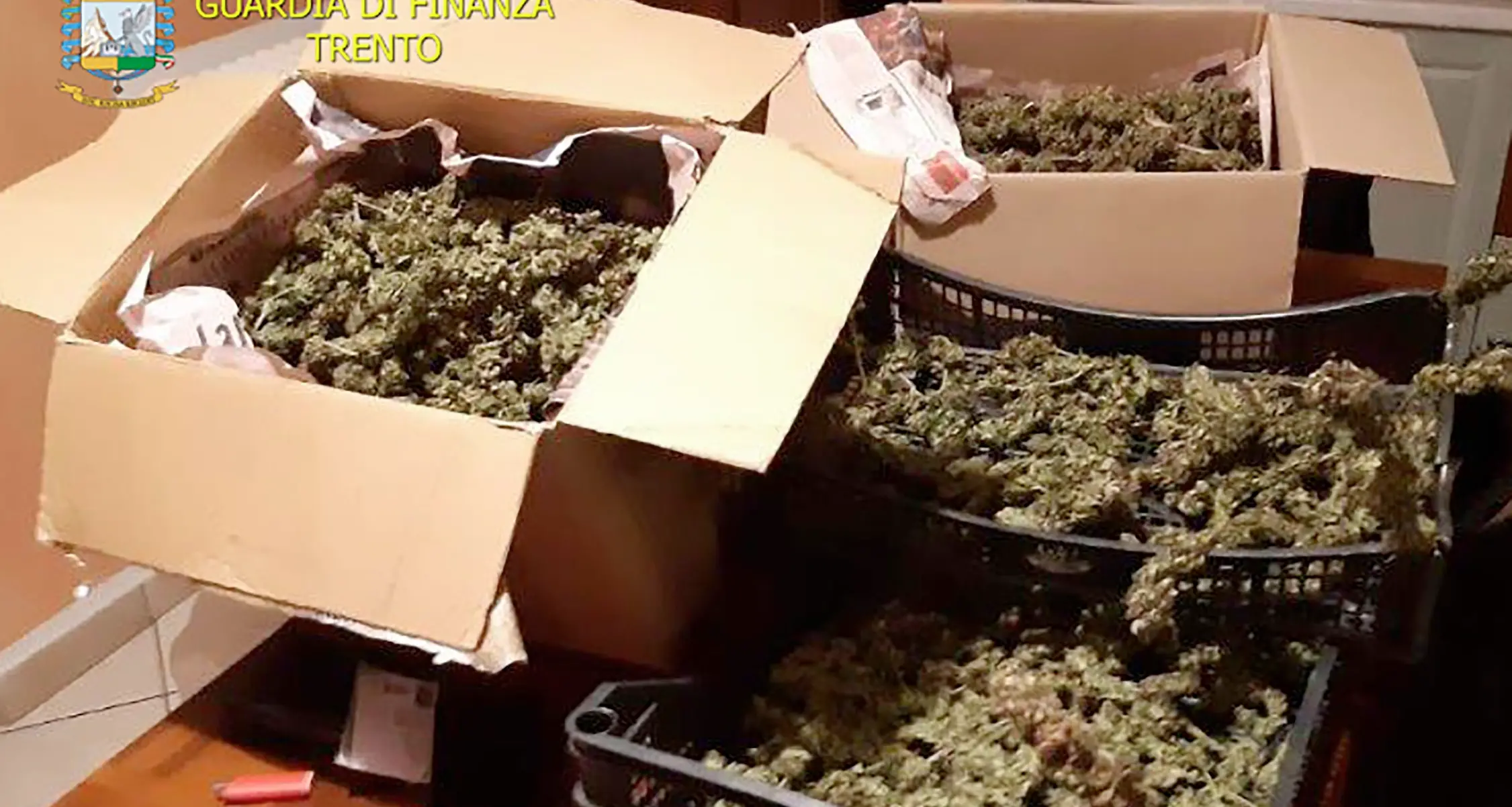 Sorpreso con la droga nell'armadio