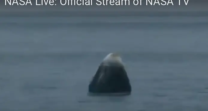 La Space X Crew Dragon di Musk con i due astronauti americani è ammarata come previsto - VIDEO