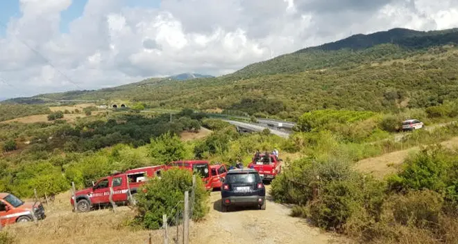 Proseguono senza sosta le ricerche del piccolo Gioele dopo il ritrovamento della madre morta