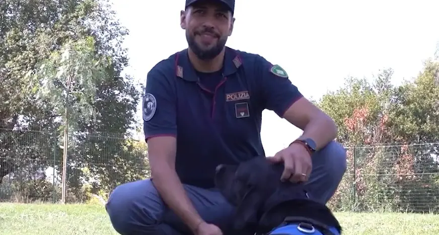 L’amicizia è una cosa seria! Lo spot della polizia contro l’abbandono dei cani - Video