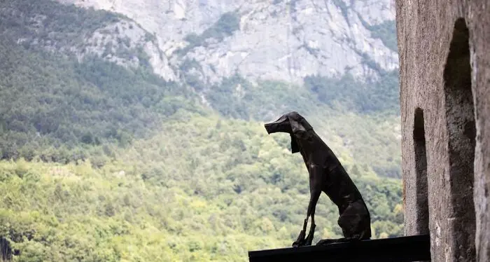 Il \"branco di cani\" a Castel Ivano e Mart
