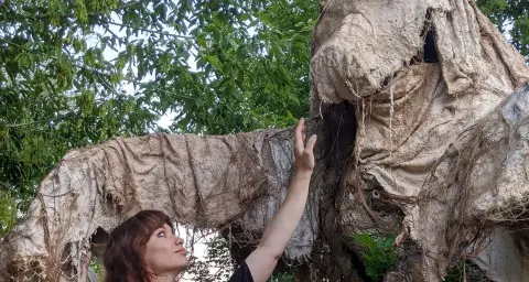 «Chi ha paura dell'orso?» tre spettacoli e 5 dibattiti per decidere: bruciarlo o no?