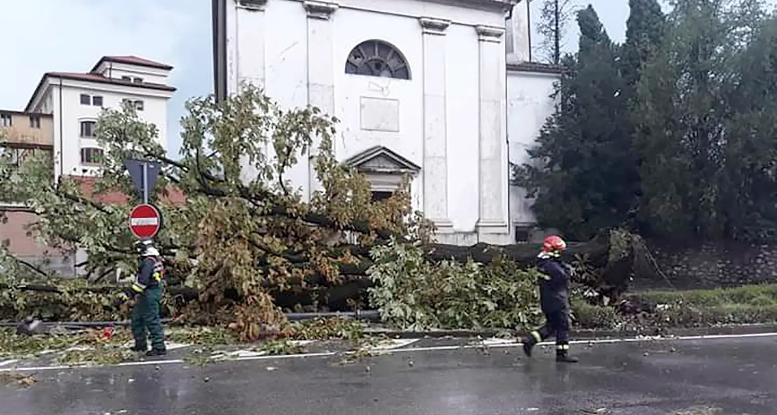 Furioso temporale su Rovereto abbattute piante secolari e 40 interventi dei pompieri