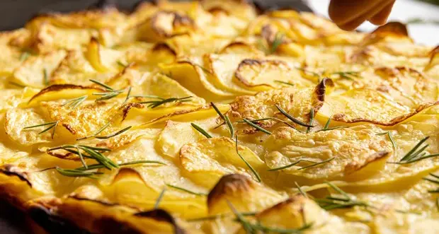 Ecco le regole per scegliere bene la pizza