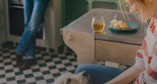 Un quarto degli italiani considera il suo cane come un vero figliolo