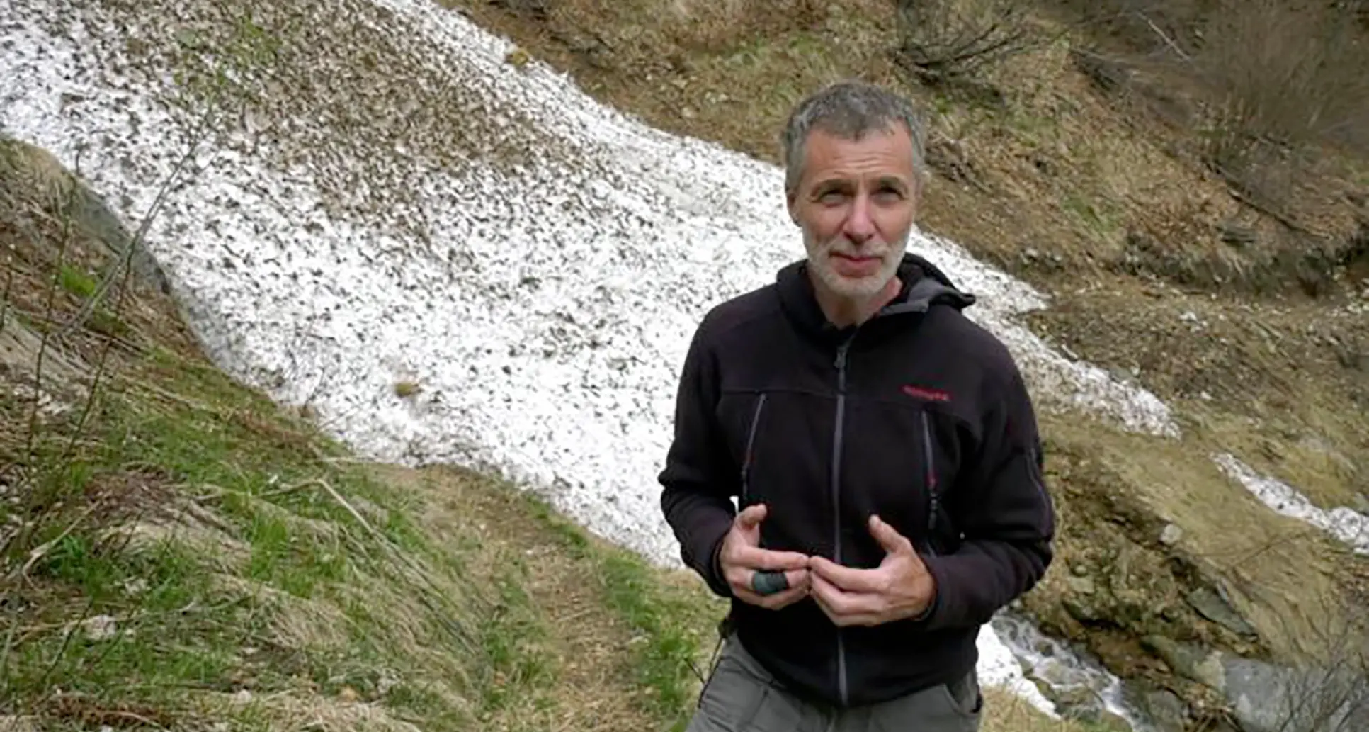 Orsi del Trentino, parla Andrea Mustoni «Non sono contrario al contenimento ma il problema è politico, non biologico»