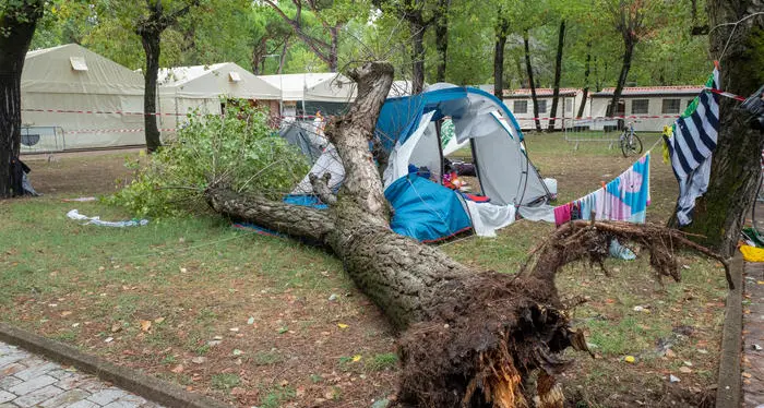 Pioppo crolla su una tenda morte tutte e due le bimbe al campeggio di Massa Marittima