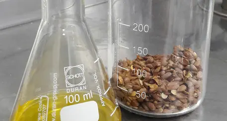 Dai semi di mela olio green e per usi alimentari e cosmetici