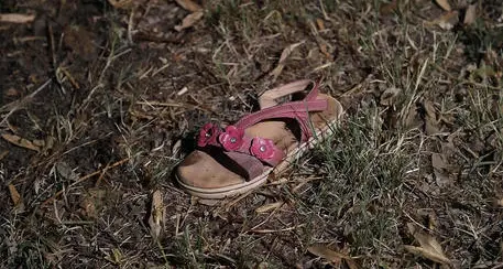Caccia a pirata della strada che ha travolto e ucciso una bambina di 9 anni