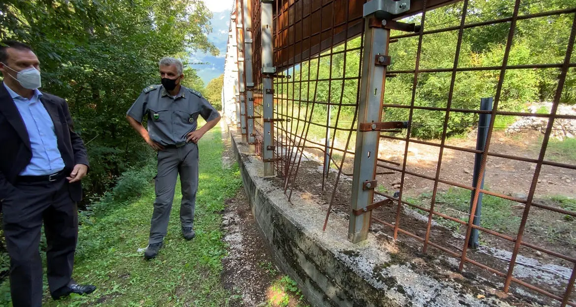 M49 è sempre in fuga dal Casteller: localizzato in cima alla Marzola «aiutato» a evadere? Ipotesi al vaglio