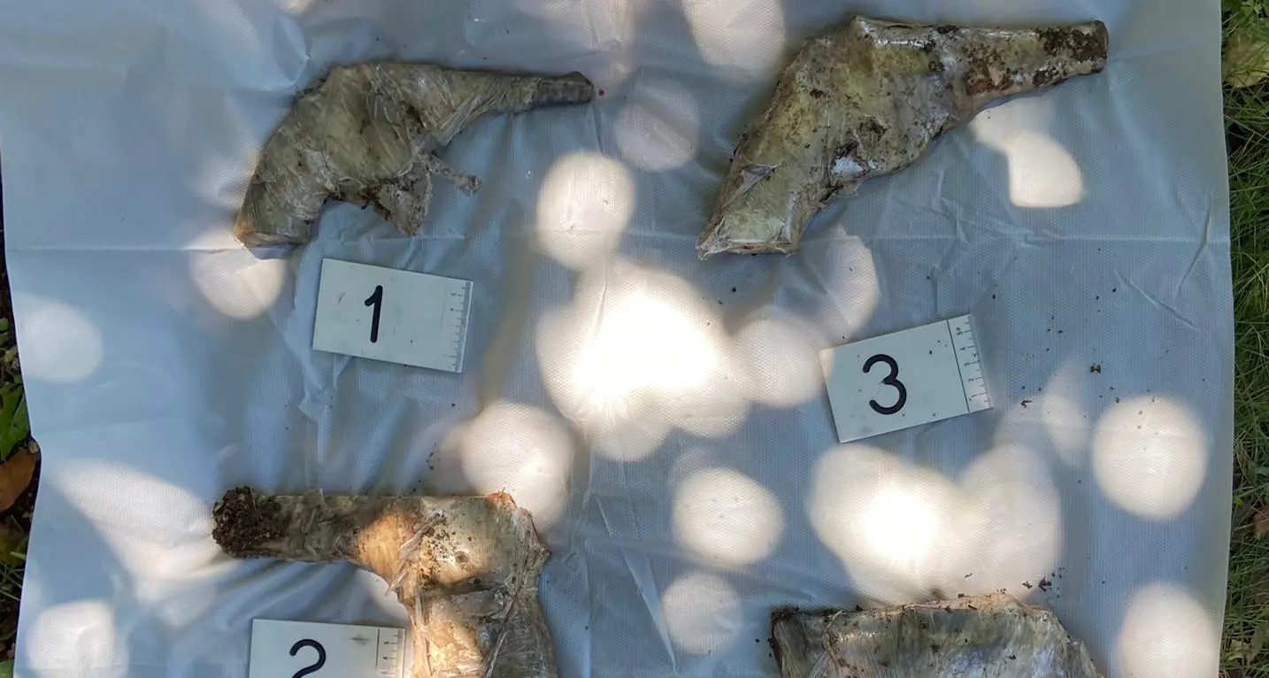 Trovate 4 pistole sotterrate in giardino nella casa del blitz di Natale in collina a Trento dove fu scoperto un chilo di gioielli rubati