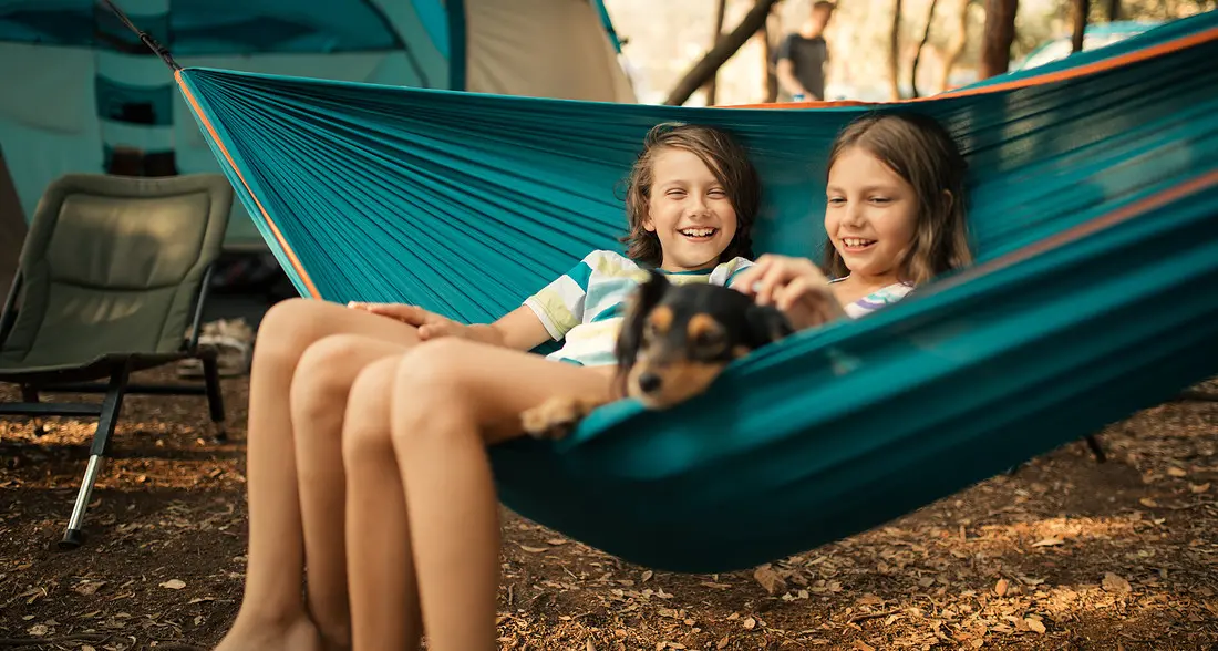 In vacanza con il cane ecco i 5 consigli per farlo stare bene