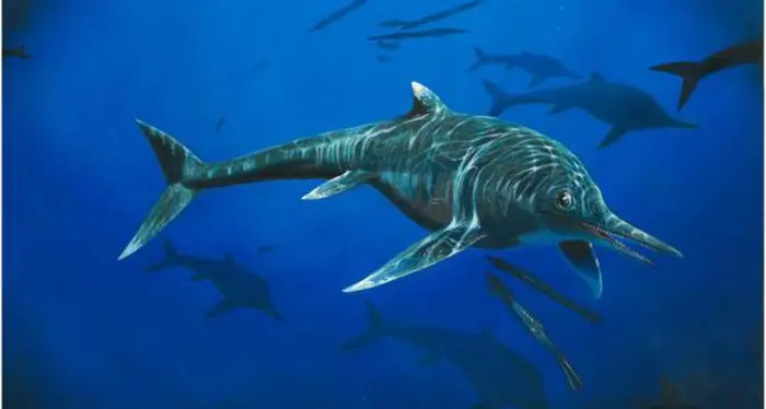 Il fossile di ittiosauro con in pancia la sua preda (lunga oltre 4 metri)