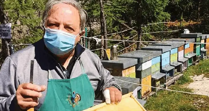 Così tra i rododendri nasce il miele più buono d'Italia