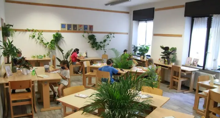 Distanziamento in classe con le piante verdi tra i banchi dei bambini